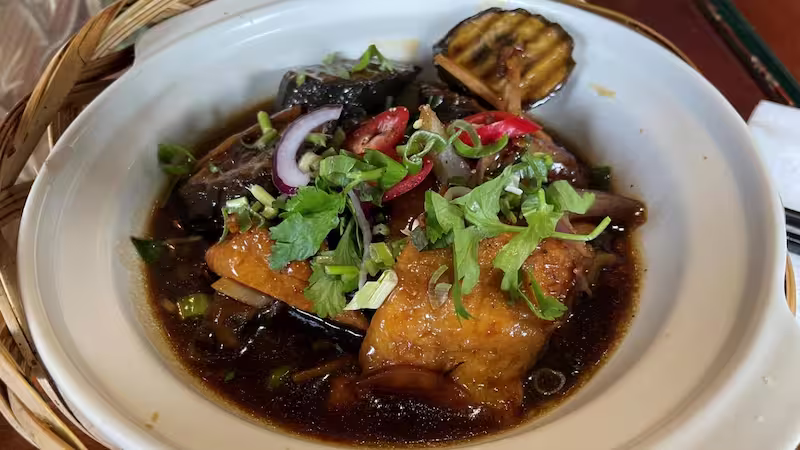 Sen Viet Vegan – Fully Vegan Vietnamese “Restaurant Review”