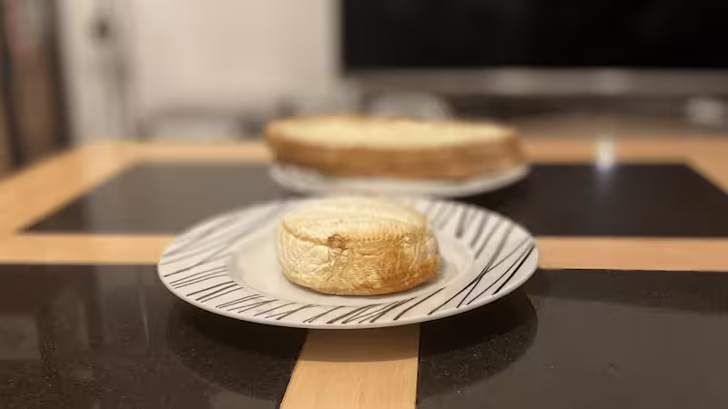 Honestly Tasty Shamembert – Baked Vegan Camembert