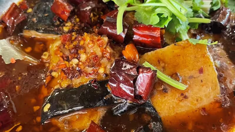 Vegan Planet – All-Vegan Chinese Restaurant in Camden